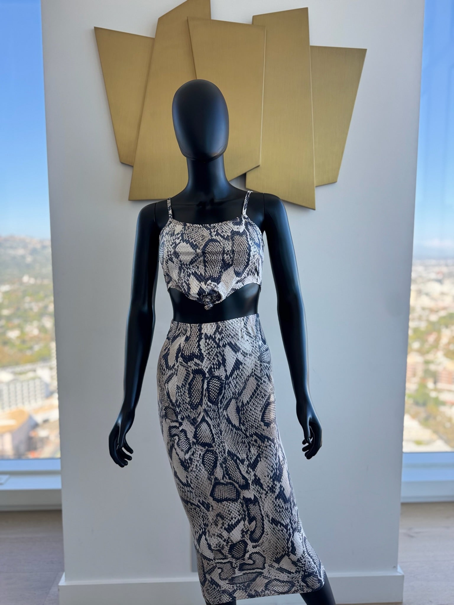 Leopard 2 Piece Set! Small! New