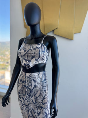 Leopard 2 Piece Set! Small! New