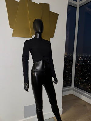 New! Regular Waist Pleather Pants!