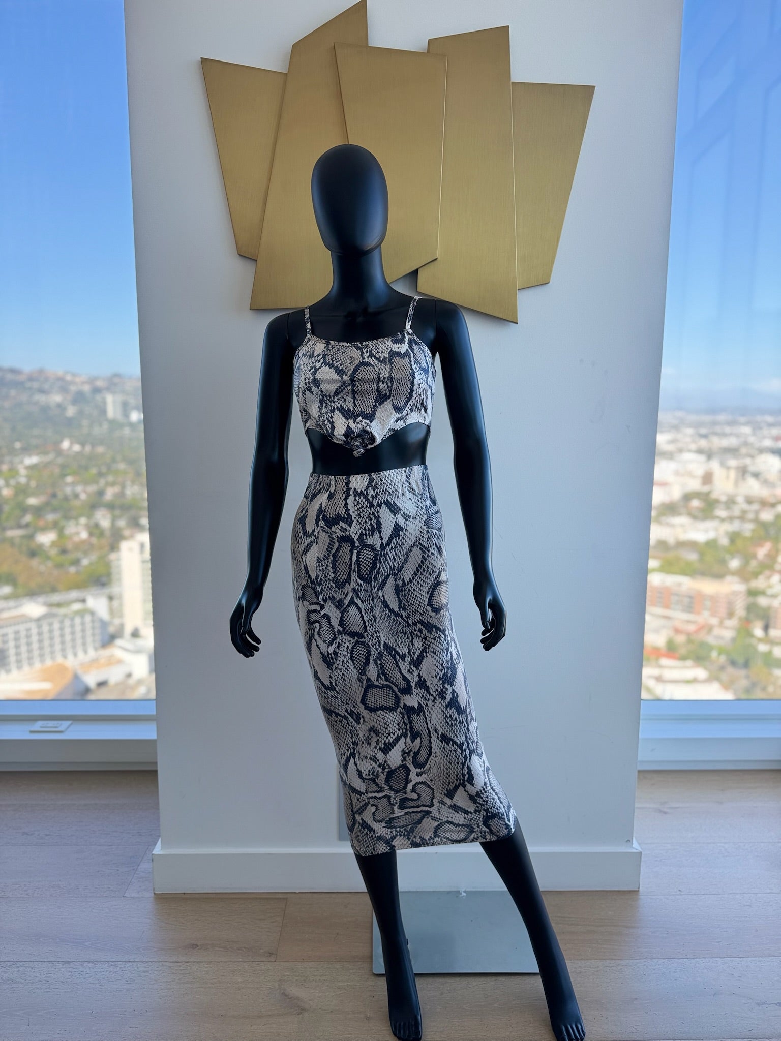 Leopard 2 Piece Set! Small! New