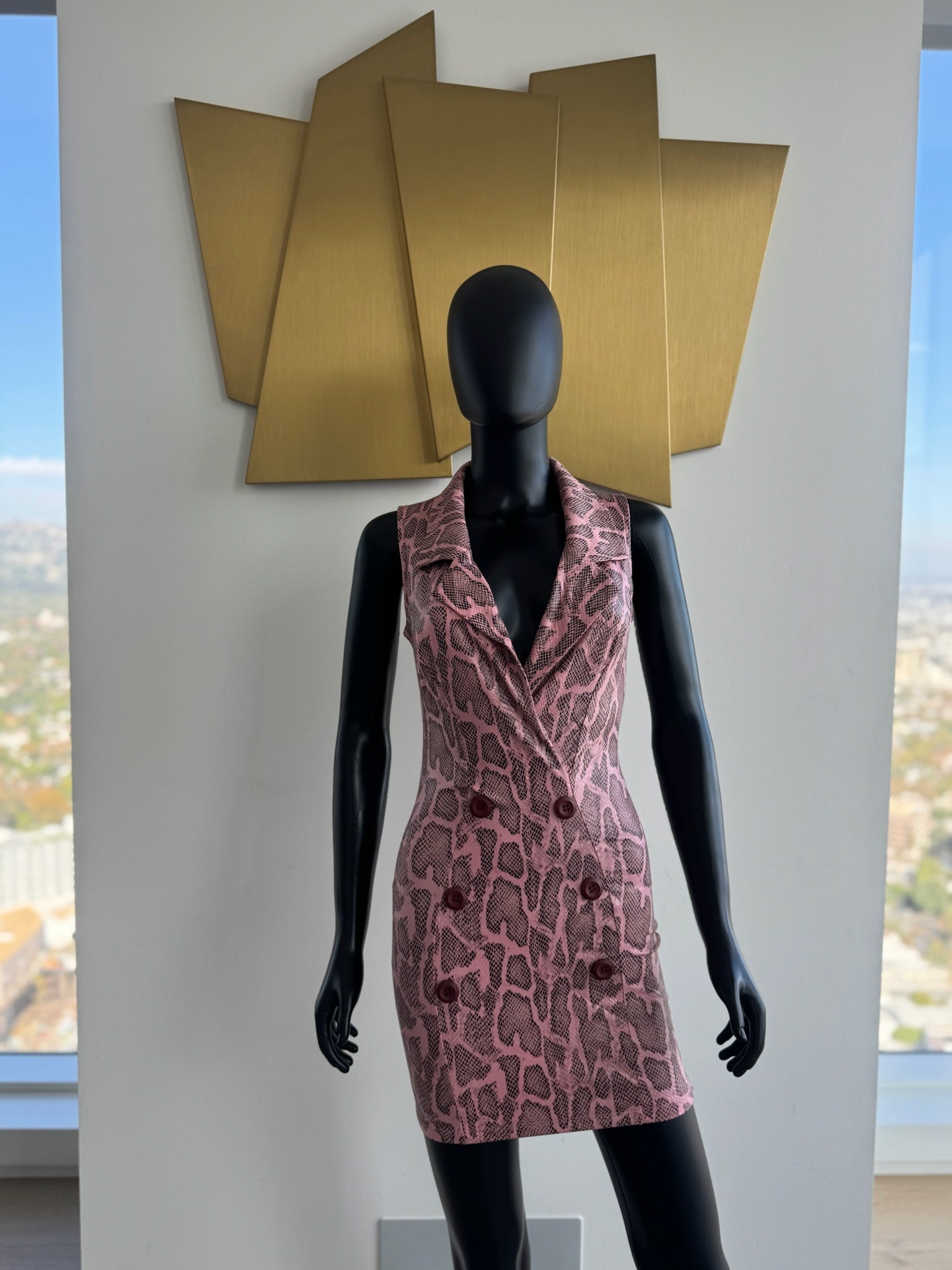 Fitted Sexy Chic Dress