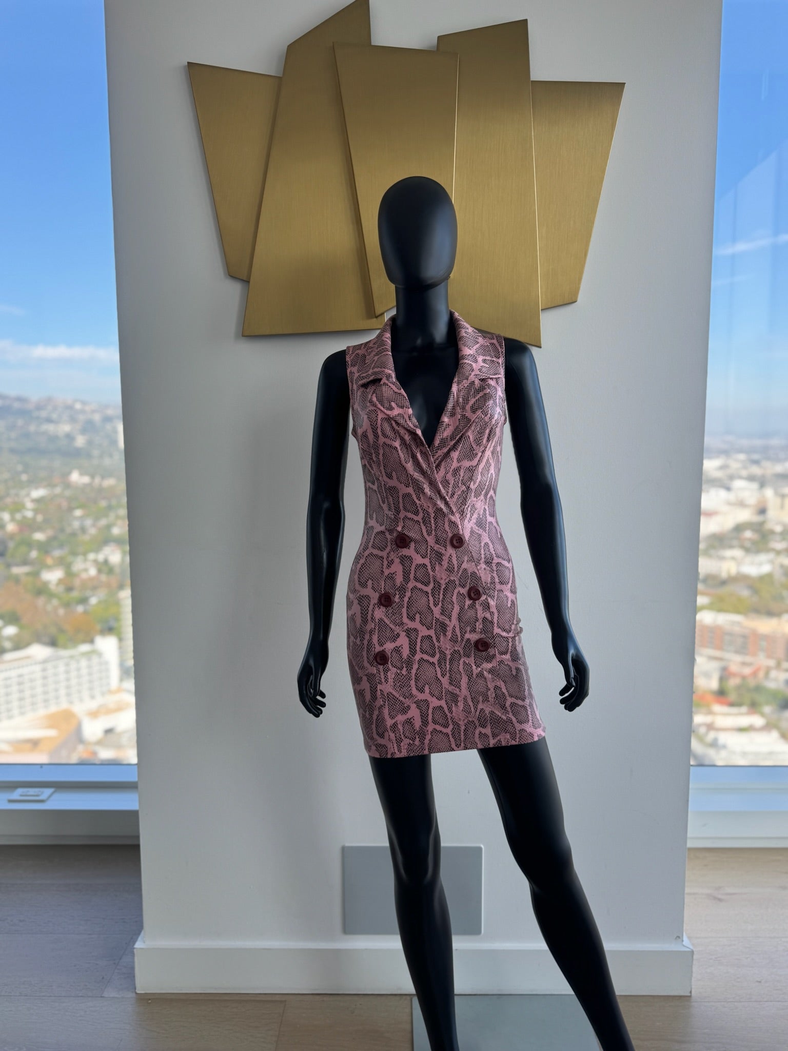 Fitted Sexy Chic Dress