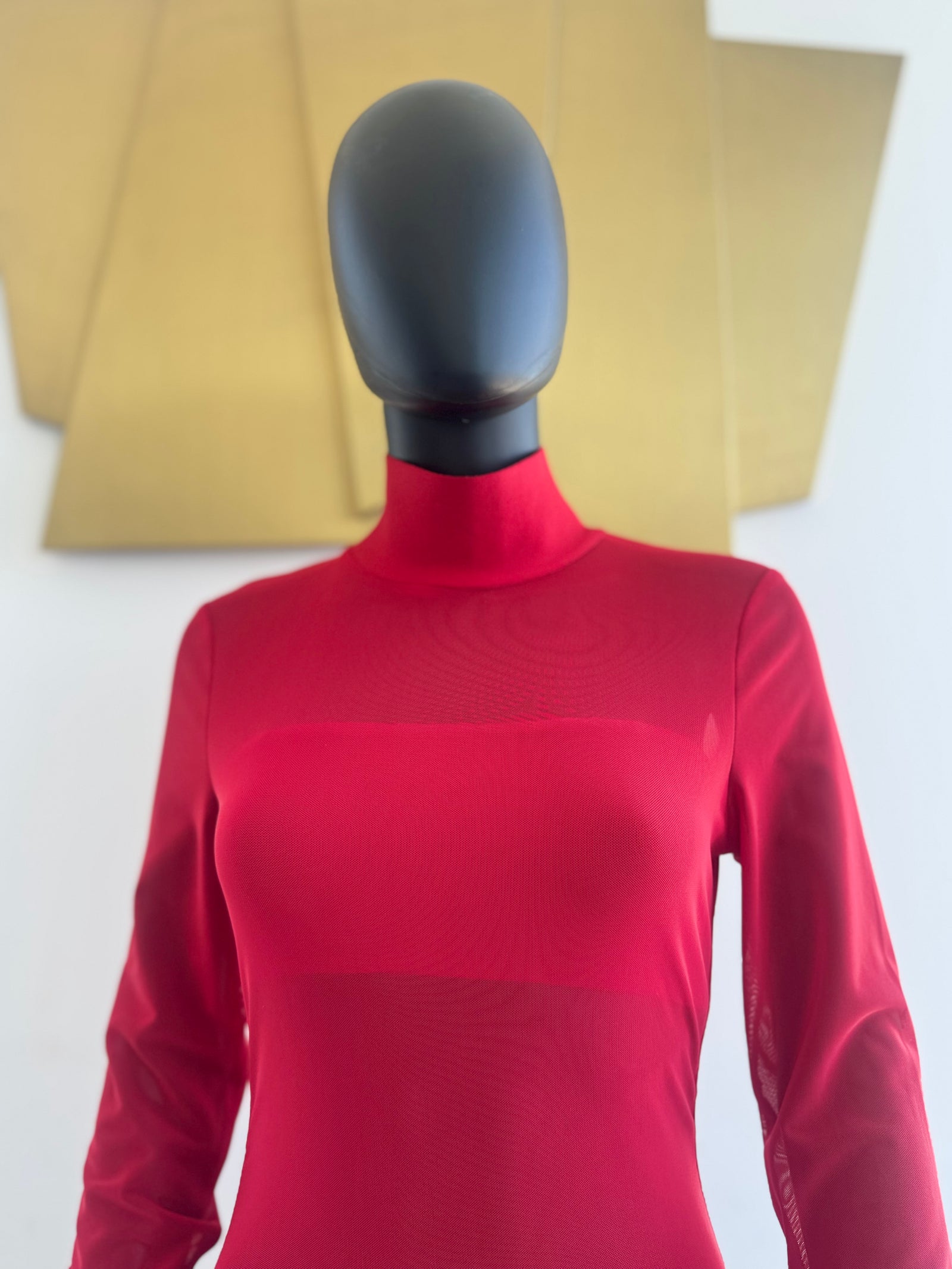 Medium Red Sheer Rose Dress