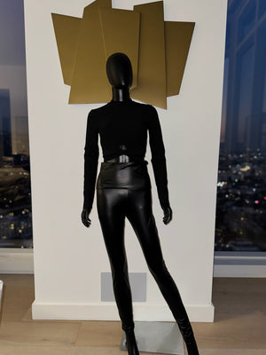 New! High Waisted Pleather Pants