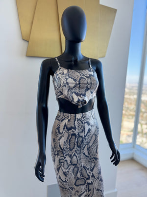 Leopard 2 Piece Set! Small! New
