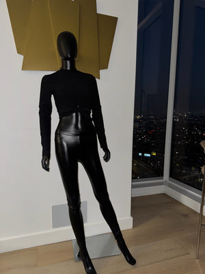 New! Regular Waist Pleather Pants!