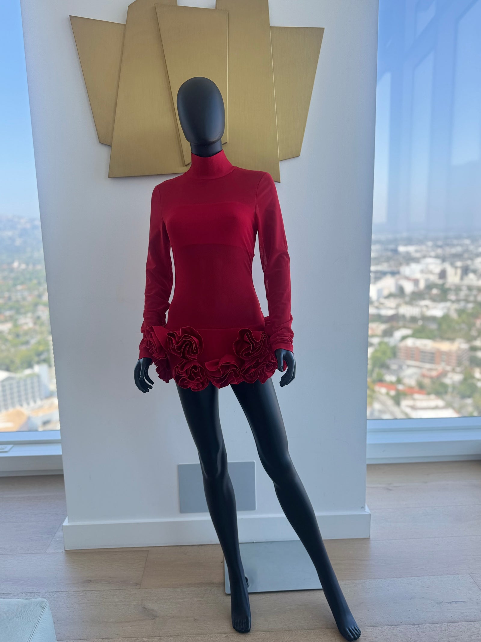 Medium Red Sheer Rose Dress