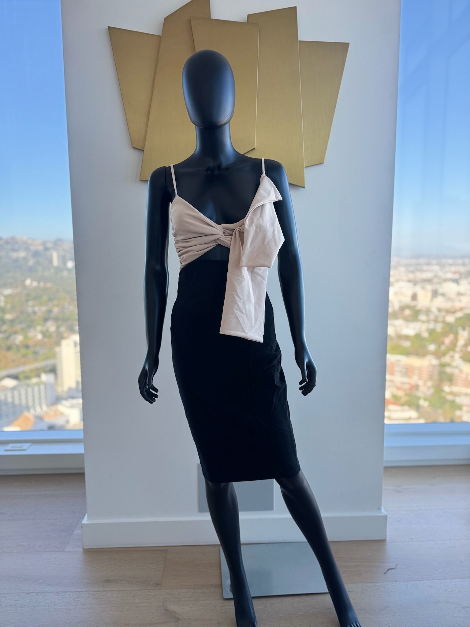 Biege and Black Dress! Small Never Worn!